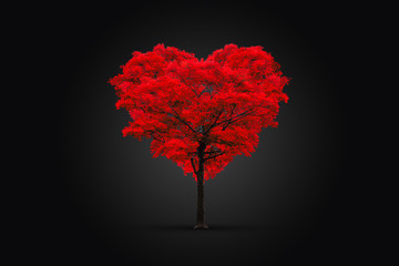 Red heart-shaped tree isolated on black