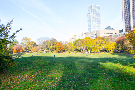 Lawn in Central Park by the Upper East Side in 100th street