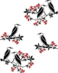 tree branch with birds