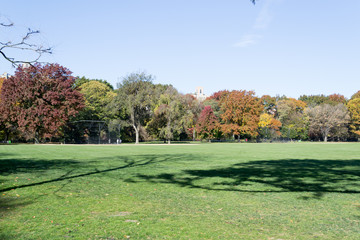 Fototapeta na wymiar Great lawn located in the heart of Central Park during the fall