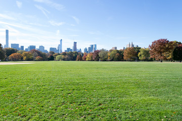 Great lawn located in the heart of Central Park during the fall