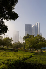 Fototapeta na wymiar Abu Dhabi skyscrapers from city gardens in a misty morning