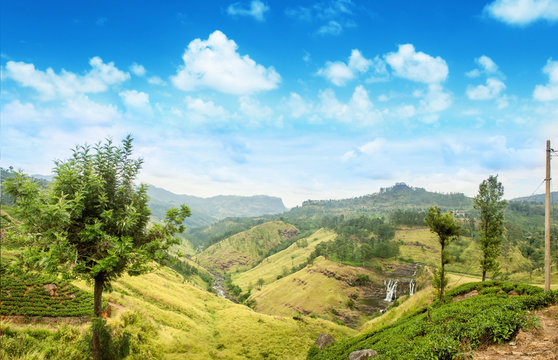 Landscape with tea plantations and small waterfall