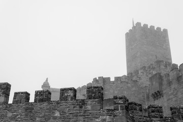 Castle of Xavier on a foggy day (Spain) © rmbarricarte