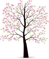 Obraz premium Spring Tree isolated on white.