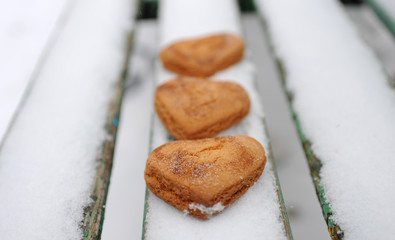 Homemade cookies with cinnamon in the snow