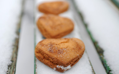 Homemade cookies with cinnamon in the snow