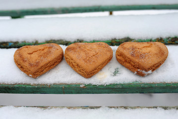 Homemade cookies with cinnamon in the snow