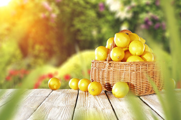 lemon fruits 