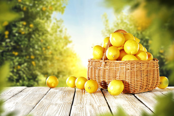 lemon fruits 