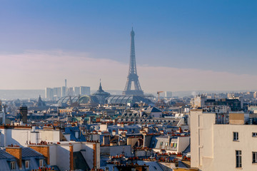 Fototapeta premium Paris. Aerial view of the city.