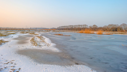 Shore of a frozen lake in winter 