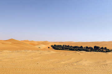 empty quarter desert oasis