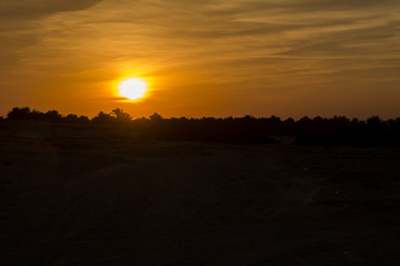desert oasis sunset