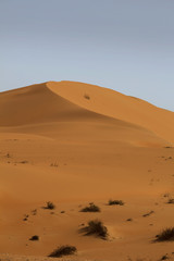 Fototapeta na wymiar empty quarter desert view