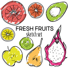 Fresh fruits vector sketch set. Hand drawn design elements.