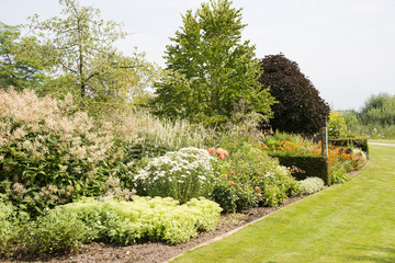 big garden with plants and flowers