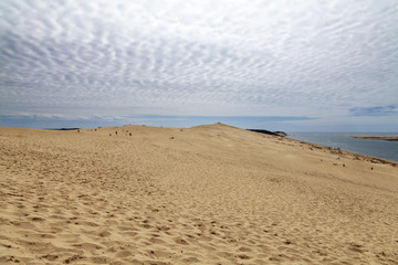 Dune