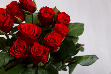 Red roses on white wood vintage background. 8 march or Valentines day love design. Fresh natural flowers. Painted wooden planks.