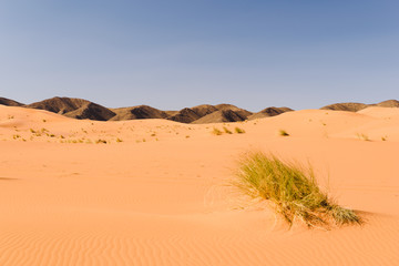 Fototapeta na wymiar Sand dunes Ouzina, Morocco 