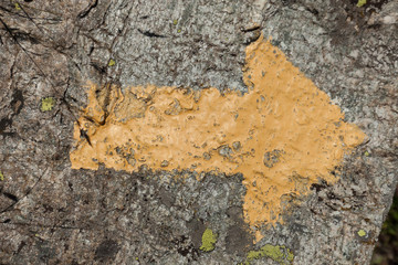 Yellow arrow painted on a rock in italian Alps