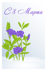 Beautiful congratulation or greeting card for women's day with Periwinkle in snow. Russian translation: 8 March. Holiday greetings background in cartoon style. Vector illustration. Flower Collection.