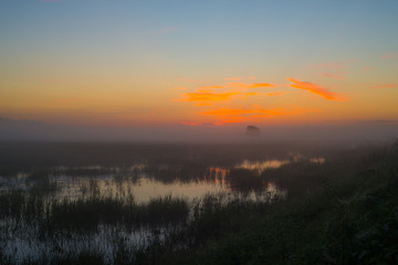 Morning on marsh