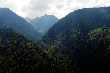 Fagaras mountains landscape forest trees high mountains spooky