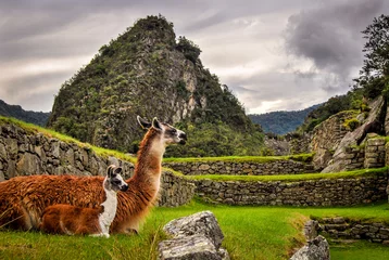 Photo sur Plexiglas Machu Picchu machu picchu