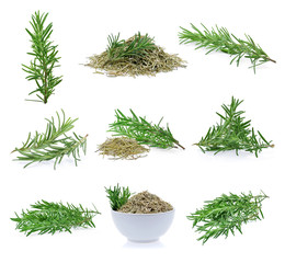 rosemary isolated on white background
