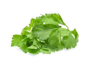 Celery leaves isolated on white background