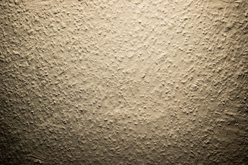 Wall texture