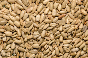Heap of Sun flower seed background. Agriculture