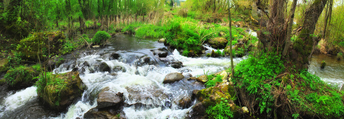 Panoramic image of a mountain river in the spring