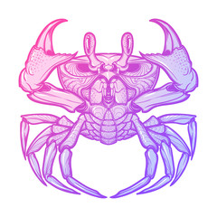 Cancer. Accurate symmetrical drawing of the beach crab. Concept art for tattoo, horoscope, sea food business. Pastel colored. Linear drawing itolated on white background. EPS10 vector