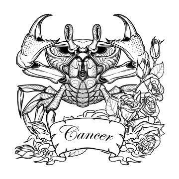 Zodiac sign - Cancer. Accurate symmetrical drawing of the beach crab with a frame of roses. Concept art for tattoo, horoscope. Coloring book illustration. Linear drawing itolated on white background