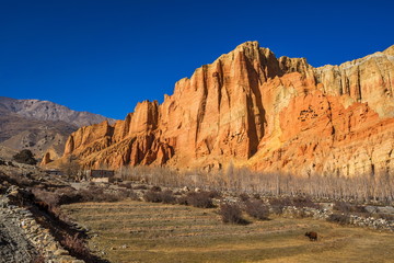 Dhakmar village surrounded by red rocks, Mustang, Nepal