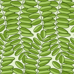 Vector Seamless pattern with acacia leaves. Spring background for packaging, textile and fabric design