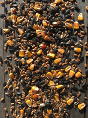 mix grain for the birds on the old wooden surface