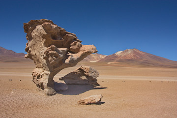 stone in the form of a tree of Arbol de piedra in the mountain desert of Siloli in Bolivia