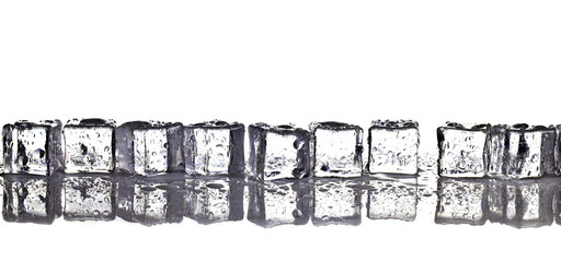 ice cubes in a row on a wet table on a white background