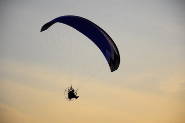 paraglider