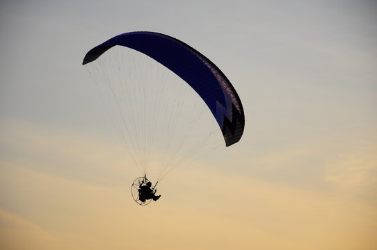 paraglider