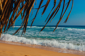 Fototapeta na wymiar Tropical vacation holiday background - paradise idyllic beach. Sri Lanka