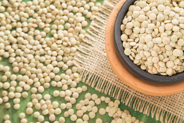 Lentils in the bowl (Lens culinaris)