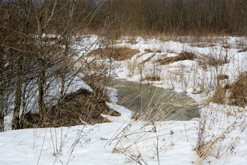 the beginning of spring nature