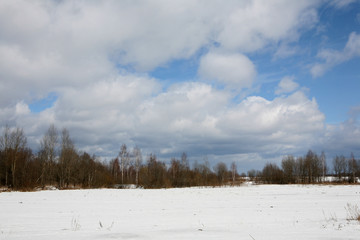 the beginning of spring nature