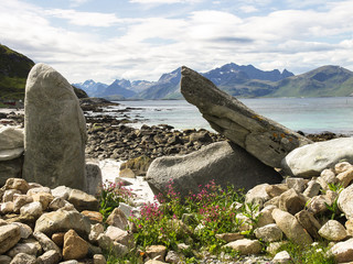 Rocks at the Lofoten, Nordland, Norway