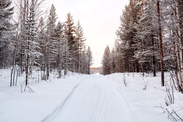 Beautiful winter landscape