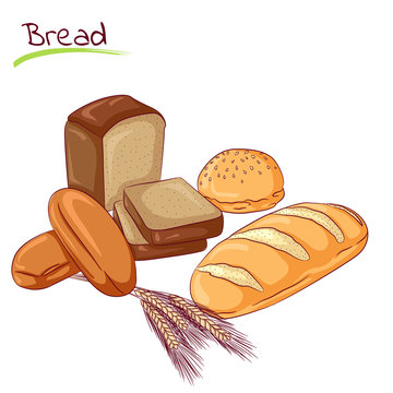 Various bread loafs
